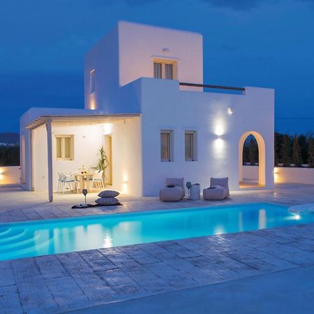 Naxian Lounge Villas Naxos City Exterior photo